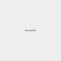 placeholder-1600 placeholder-1600
