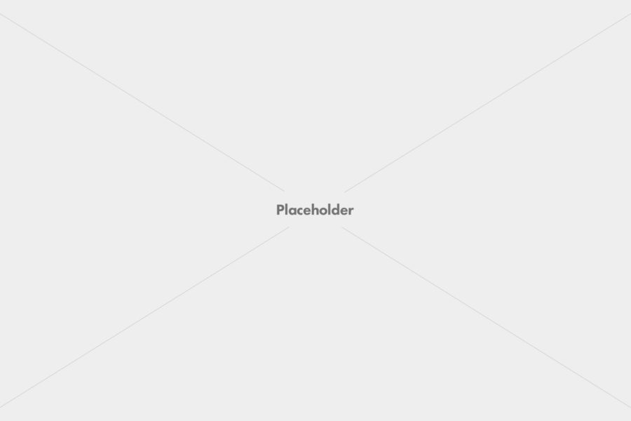 Good choose: Business WordPress theme